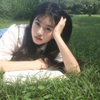 梅花档案